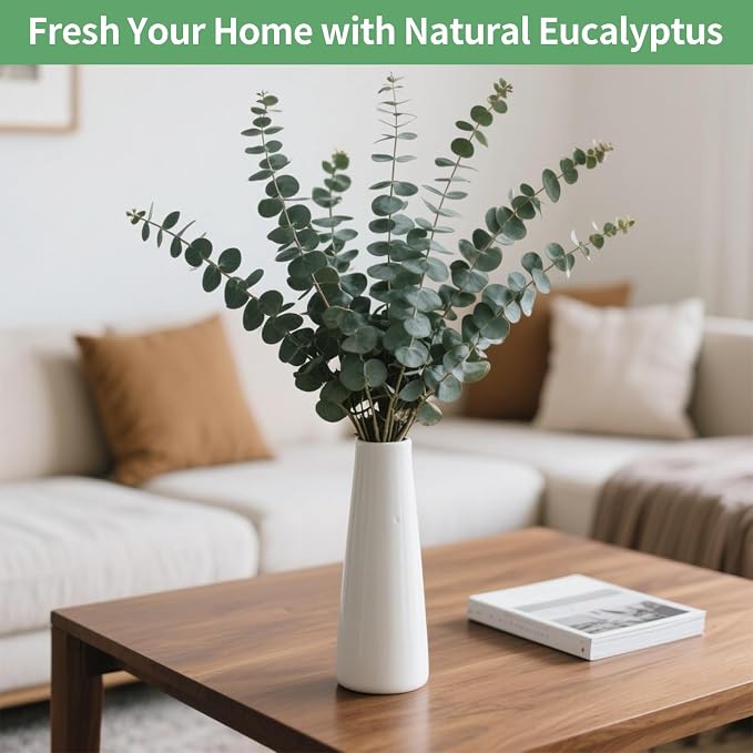 12PCS Dried Eucalyptus Bundle 17'' Real Eucalyptus Stems 100% Natural Fresh - Image 8