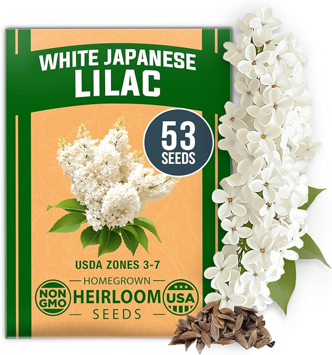 HOME GROWN 53 White Lilac Flower Seeds Non-GMO, Heirloom Tree Seeds by HOMEGROWN