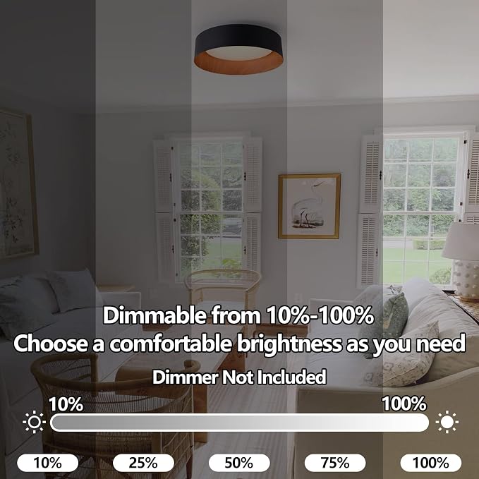 Bargeni Flush Mount Ceiling Light, 13 inch Ceiling Light Fixtures, Matte Black - Image 5