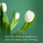 P&J Trading Fragrance Oils for Diffusers for Home Spring Set Fragrance Scents - Image 2