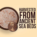 Good Tierra Himalayan Pink Salt in Jar - Image 6