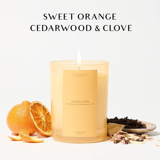 Orange, Cedarwood & Clove Scented Candle | 11oz, 60 Hour Burn | Natural Soy Wax - Image 2