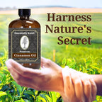 Premium Cinnamon Oil 4 Fl Oz - Image 5