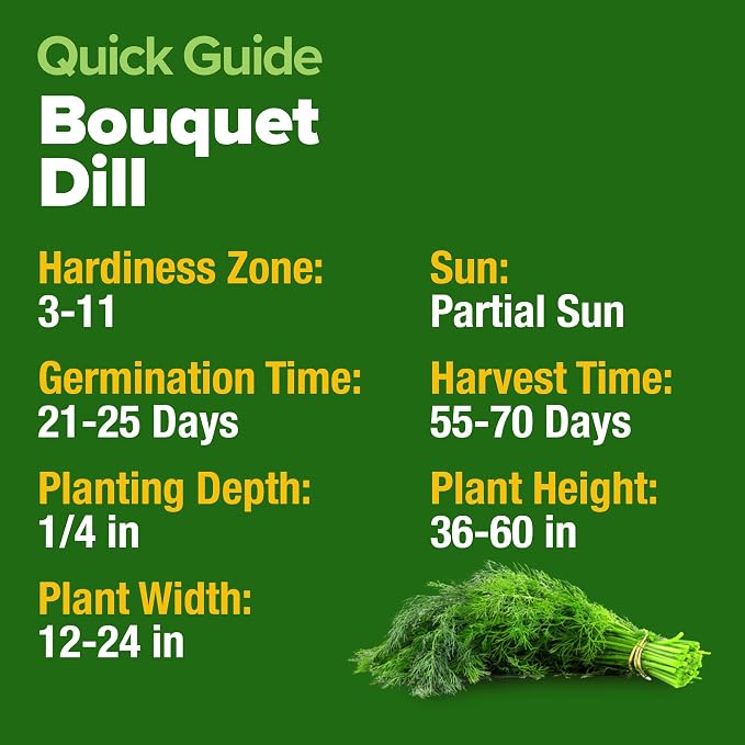 HOME GROWN Dill Seeds 2 Pack - Image 5