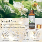 Essential Oil Set, Home Care, Humidifier Laundry, Candle Making - Image 6