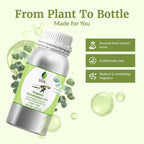 SVA Eucalyptus Essential Oil Organic – 16 Fl Oz – 100% Natural Organic - Image 4