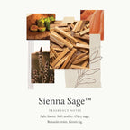 Thymes Sienna Sage Hand Lotion - Image 3