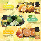 Salubrito Citrus Essential Oils Set - Image 3