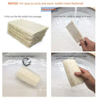 100% Large Nature 6 Pack of Organic Loofahs Loofah Spa Exfoliating Scrubber - Image 3