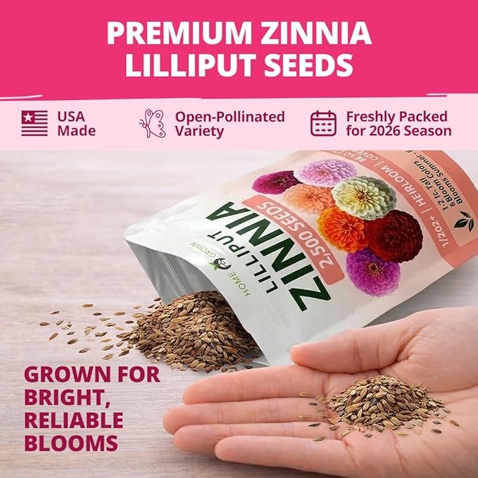 HOME GROWN Zinnia Lilliput Mix Flower Seeds - Image 5