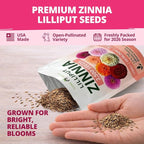 HOME GROWN Zinnia Lilliput Mix Flower Seeds - Image 5
