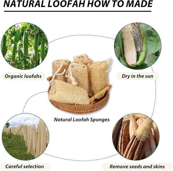 Organic Natural Loofah Sponges 4.7'' Luffa Spa - Image 6