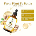 SVA Ginger Essential Oil – 4 Fl Oz – 100% Natural Ginger Oil - Image 4