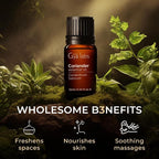 100% Pure Coriander Essential Oil - Image 5