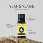 Ylang Ylang Premium Grade Fragrance Oil - 10ml - Scented Oil - Image 2