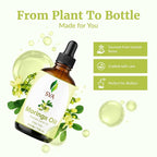 SVA Moringa Seed Oil - Image 4