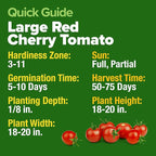 HOME GROWN Large Red Cherry Tomato Seeds 500+ Heirloom Non GMO Seeds - Image 5
