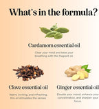 Pumpkin Spice Essential Oil Blend - Image 4