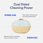 BLUELAND Scrub Sponge, Dual-Sided Dish Loofah, Plastic-Free, Plant-Based - Image 3
