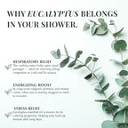 Eucalyptus Shower Steamers Aromatherapy, Vapor Shower Tablets - Image 3