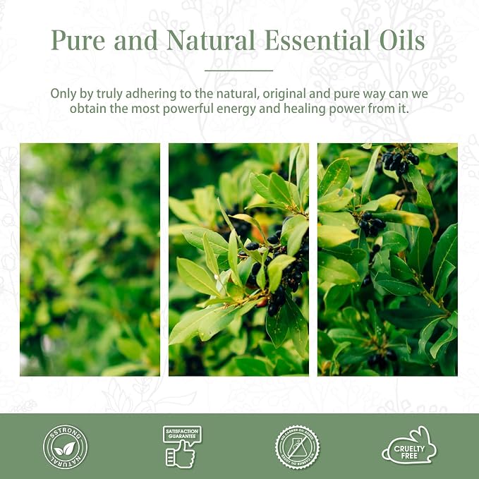 Camphor 3.38fl.oz Essential Oil, PHATOIL Aromatherapy Essential Oils - Image 7