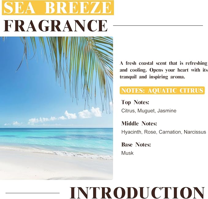 EUQEE Sea Breeze Fragrance Oil, Premium Essential Oil Scented Oil - Image 3