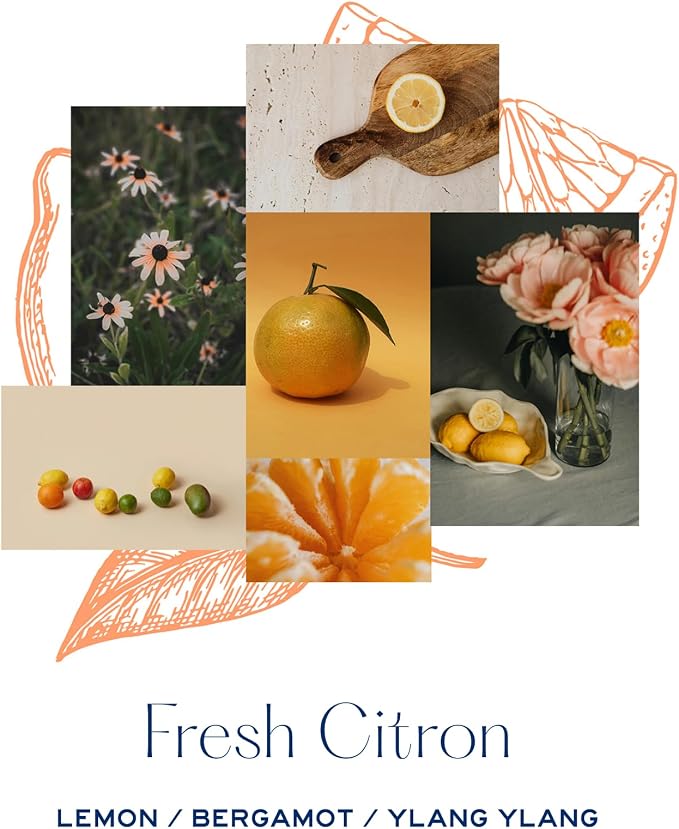 MERSEA Luxury Room Spray, Fresh Citron, 4 oz - Image 4