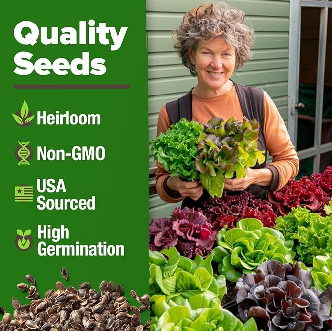 HOME GROWN Lettuce Seeds 8 Variety Mix 9000+ Bulk Pack Heirloom Non-GMO - Image 3