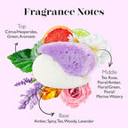 Spongellé Essentials Lavender Fields Mani/Pedi Buffer | Exfoliating Foot & Nail - Image 3