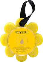 Spongellé Sweet Patchouli Wild Flower Bath Sponge | Built-in Body Wash & Body by Spongell%C3%A9