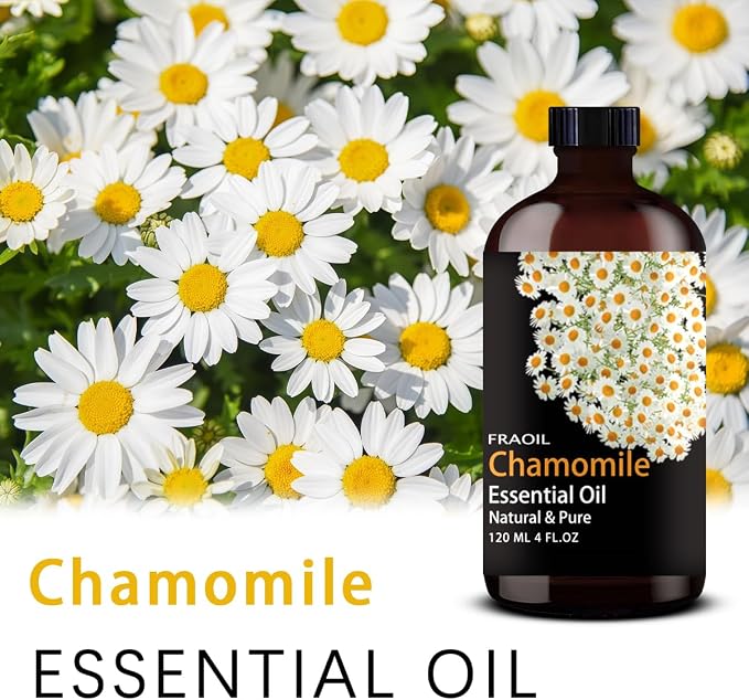 Chamomile Essential Oil, Chamomile Oil 4 Fl Oz 120ML - Image 2