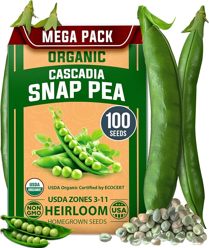 HOME GROWN Organic Cascadia Snap Pea Seeds 100+ Heirloom Non-GMO Seeds by HOMEGROWN