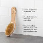 Diane Curved Handle Exfoliate & Glow Dry Skin Brush, 100% Boar Bristle Brush - Image 3