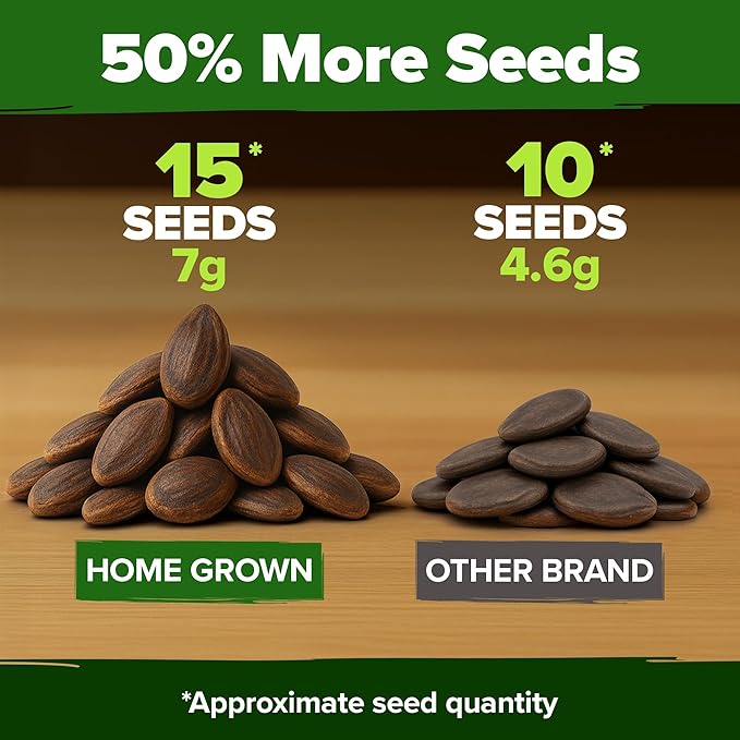 HOME GROWN Organic Crimson Sweet Watermelon Seeds 15+ Heirloom Non-GMO - Image 4