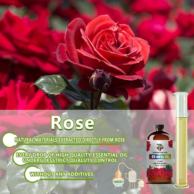 Rose Essential Oil - Image 7