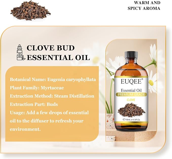 EUQEE Clove Essential Oil Large Capacity Premium Clove Bud Oil - - Image 2