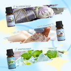 SALUBRITO Clean Fragrance Oils Set, Premium Essential Oils Set - Image 4