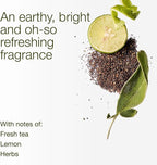Bath & Body Works White Tea & Sage 3-Wick Candle - Image 3