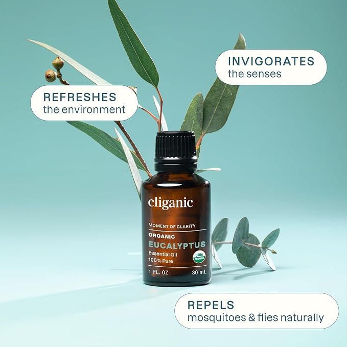Cliganic Organic Eucalyptus Essential Oil, 100% Pure | Natural Aromatherapy Oil - Image 2