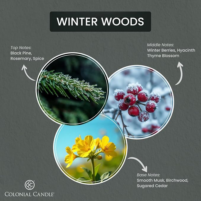 Colonial Candle Winter Woods Wax Melts, Wax Melt Warmer Cubes, Long Lasting - Image 2