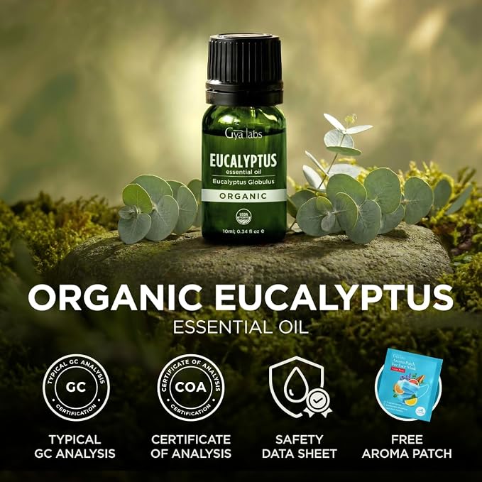 Gya Labs USDA Organic Eucalyptus Essential Oil - Image 8