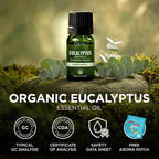 Gya Labs USDA Organic Eucalyptus Essential Oil - Image 8