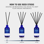 Xcleen Reed Diffuser Set for Home| 3.7 Oz Hawaiian Holiday Fragrance Diffuser | - Image 4