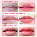 6PCS Honey Pot Lip Balm, Moisturizing Beebalm Lip Balm, Repair Bee Lip Balm - Image 4