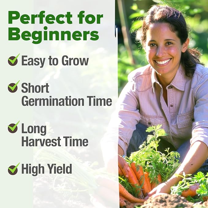 HOME GROWN Tendersweet Carrots Seeds 3000+ Heirloom Non-GMO Seeds - Image 4