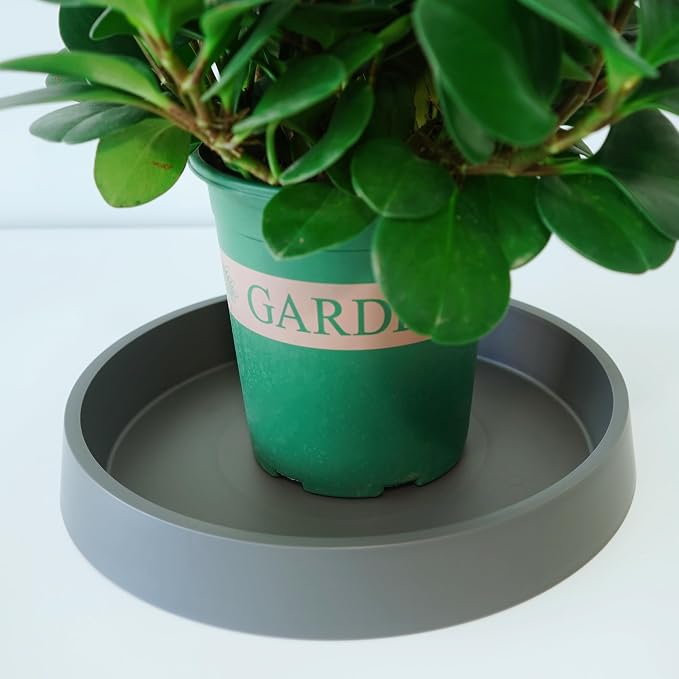 4 Pack Plant Saucer Tray for Ceramic Plastic Pots, 6 inch Plant Saucers for - Image 4