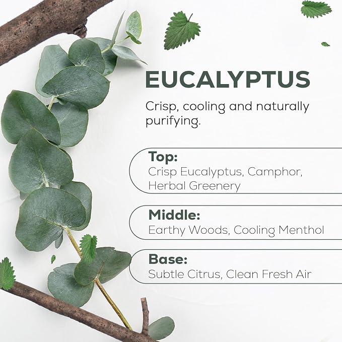 Aroma Country 100% Pure Eucalyptus Essential Oil – Organic & Undiluted Diffuser - Image 2
