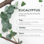 Aroma Country 100% Pure Eucalyptus Essential Oil – Organic & Undiluted Diffuser - Image 2