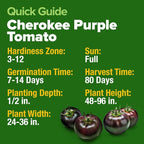 HOME GROWN Cherokee Purple Tomato Seeds 212+ Heirloom Non-GMO Seeds - Image 6