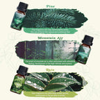 SALKING Nature Fragrance Oils, Premium Essential Oil - Image 4
